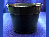 5" Round Green Pot 3½" Tall